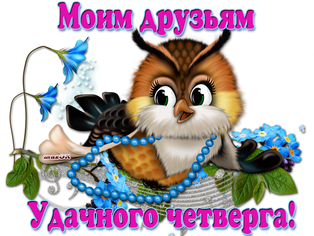 Открытка Открытки на четверг - Сова с бусинами и цветами: открытка | Красивая открытка #94