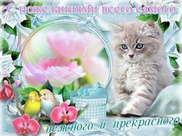 Открытка открытки с пожеланиями всего хорошего - Открытка с котенком, птичками и цветами | Красивая открытка #12