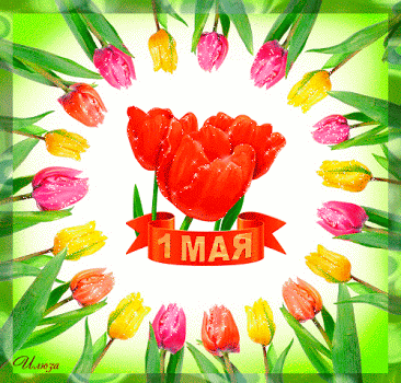 Открытка 1 мая - Открытка с тюльпанами: 1 мая, яркие цвета | Красивая открытка #70