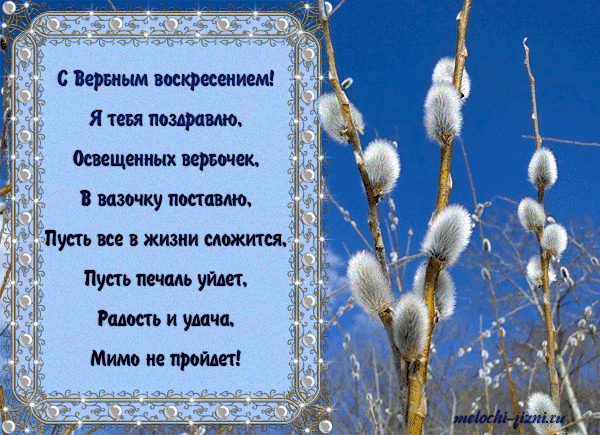 Открытка Вербное Воскресенье - Верба: С праздничной открыткой на Вербное воскресенье | Красивая открытка #309