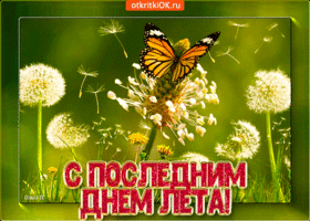 Открытка Открытки с последним днем лета - Открытка с последним днем лета: цветы и бабочка | Красивая открытка #40