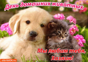 Открытка Открытки на Всемирный день домашних животных - Открытка с щенком и котенком  С Днем! | Красивая открытка #20