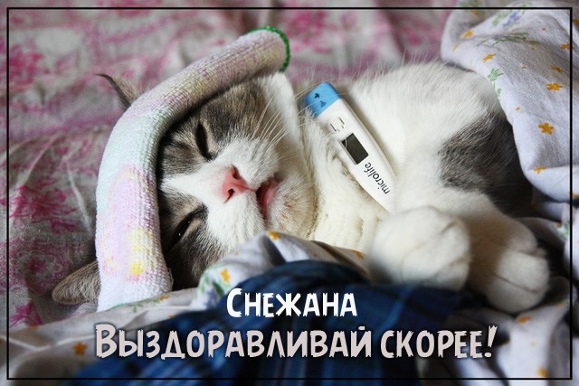 Открытка открытки с именем Снежана - Заболел котик: смешная открытка с температурой | Красивая открытка #28