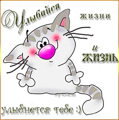 Открытка Открытки улыбнись - Симпатичный котик в открытке: прикольная картинка | Красивая открытка #25