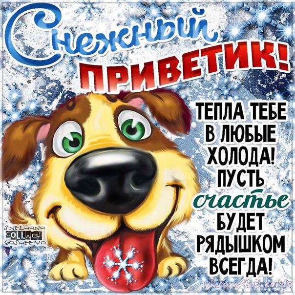 Открытка открытки с приветствием  - Открытка с щенком: Привет! Тепло и счастье! | Красивая открытка #5