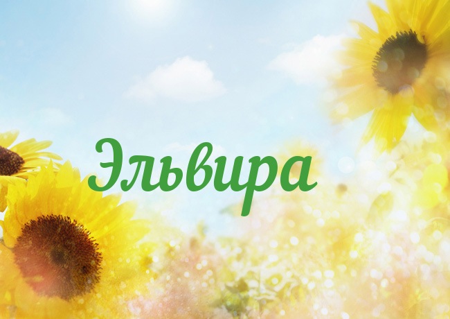 Открытка открытки с именем Эльвира - Открытка с подсолнухами на фоне голубого неба | Красивая открытка #17