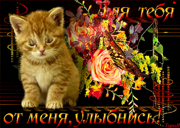 Открытка Улыбнись - Открытка с котенком и цветами | Красивая открытка #309