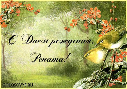 Открытка открытки с именем Рената - Открытка с птицами: С Днем рождения! | Красивая открытка #4