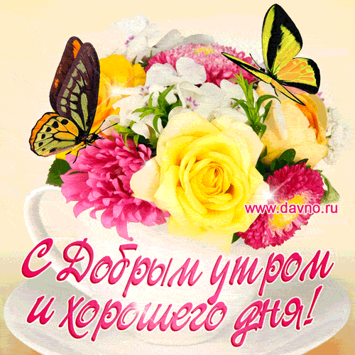 Открытка С желтыми розами - Открытка: Доброе утро и хорошего дня! | Красивая открытка #85