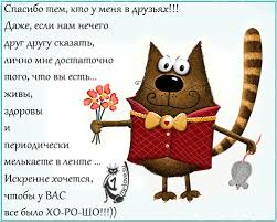 Открытка открытки с благодарностью  - Котенок с цветами: Открытка с милым котом | Красивая открытка #18