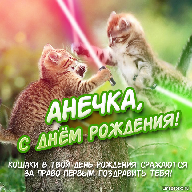 Открытка открытки с именем Аня  - Открытка с котиками: С Днём Рождения!  Изображение | Красивая открытка #9