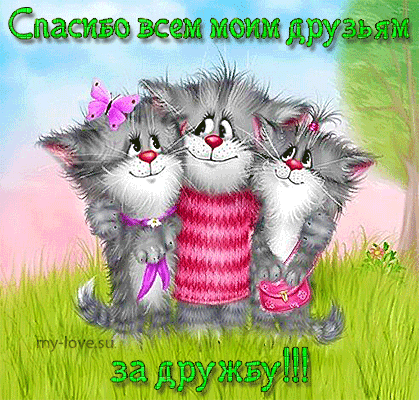 Открытка Благодарность - Открытка с милыми котятами на лугу | Красивая открытка #61