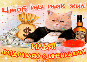 Открытка Открытки с именем Илья - Открытка с котом и деньгами: С Днем Рождения! | Красивая открытка #154