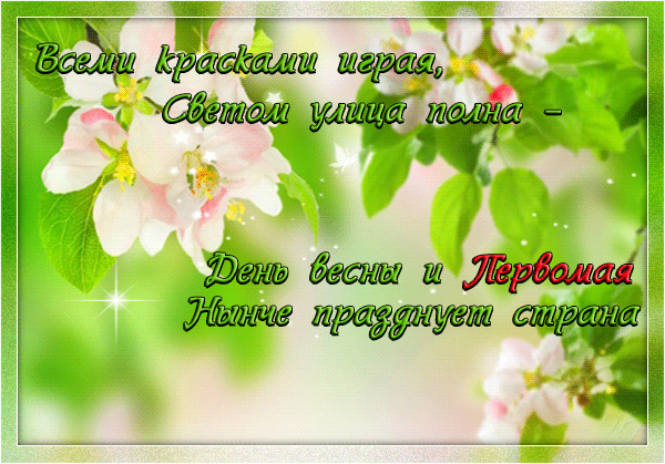 Открытка 1 мая - цветок цветущая вишня весенняя открытка | Красивая открытка #125