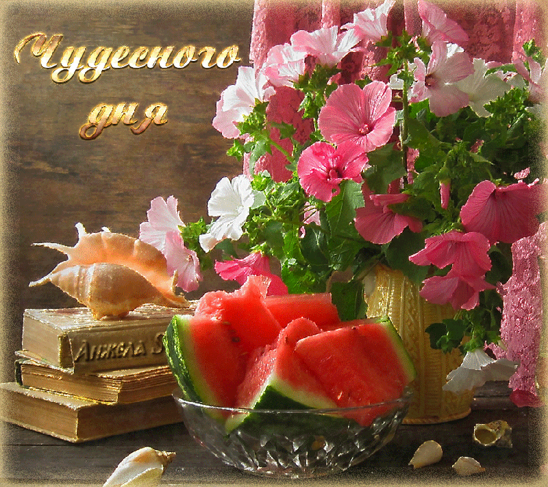 Открытка чудесного дня! - Арт: Арбуз, цветы, морской мотив, книга  Праздничная открытка | Красивая открытка #3
