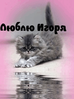 Открытка открытки с именем Игорь - Милый котенок на открытке: милый подарок | Красивая открытка #189