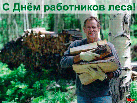 Открытка Открытки с днем работников леса - Мужчина с дровами на фоне леса. Открытка. | Красивая открытка #34