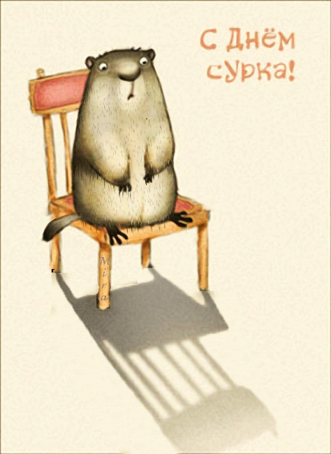Открытка День сурка - Открытка с бобром на стуле - С Днем рождения! | Красивая открытка #8