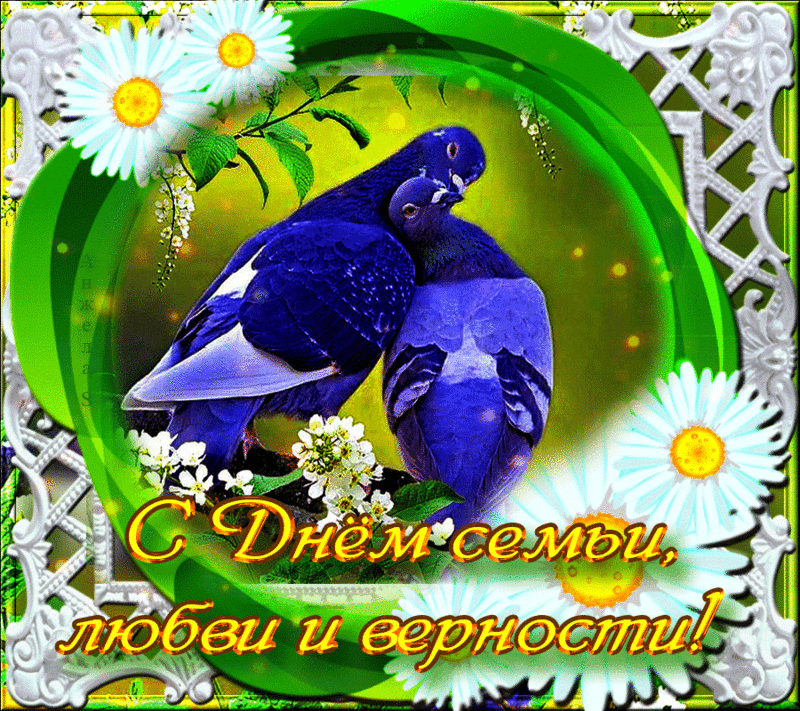 Открытка День семьи, любви и верности - Открытка с голубями: День семьи, любви и верности | Красивая открытка #3