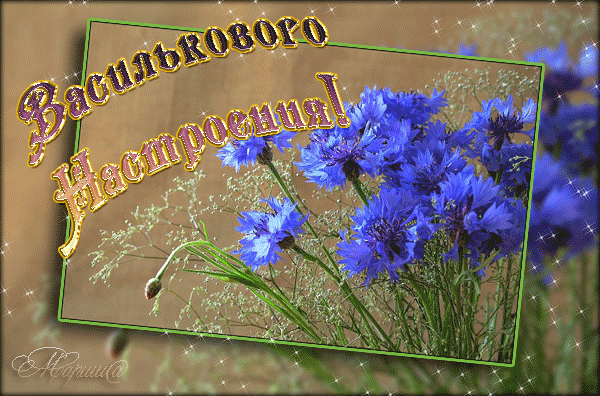 Открытка С васильками - Открытка с голубыми васильками | Красивая открытка #31