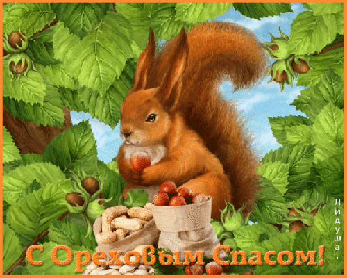 Открытка Ореховый спас - Белка с ягодами: Открытка с добрым лесом | Красивая открытка #100