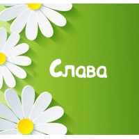 Открытка открытки с именем Слава - Открытка с цветами: Слава | Красивая открытка #16