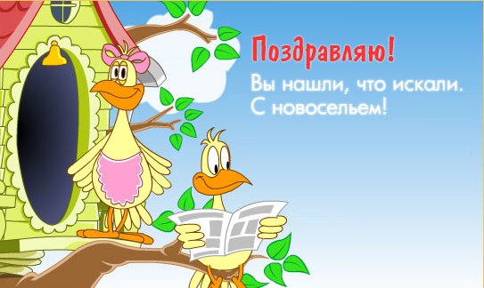 Открытка Открытки с новосельем - Открытка с птицами: поздравления и пожелания | Красивая открытка #5