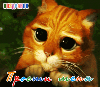 Открытка Прости - Открытка с рыжим котенком. С днем рождения! | Красивая открытка #31