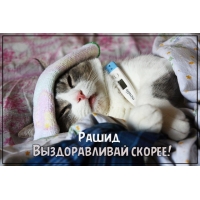 Открытка Открытки с именем Рашид - Котенок с градусником: Открытка с милым котенком | Красивая открытка #23