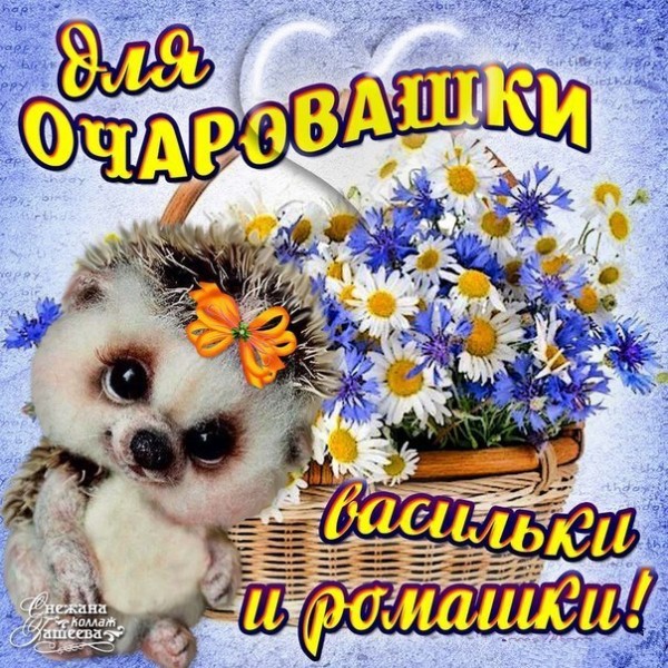 Открытка С васильками - Открытка с милым ежиком и полевыми цветами | Красивая открытка #16