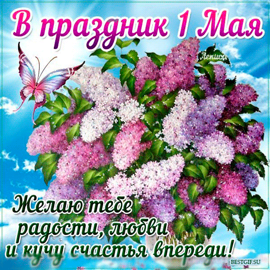 Открытка 1 мая - Открытка с цветами и бабочкой  С Днем радости и любви! | Красивая открытка #25