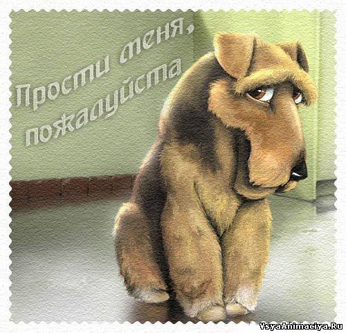 Открытка открытки с извинениями  - Грустный щенок на открытке: милая иллюстрация | Красивая открытка #14