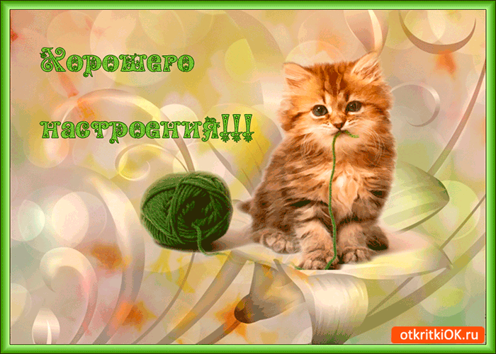 Открытка Открытки хорошего настроения - Котенок и клубок зелёной пряжи на открытке | Красивая открытка #14