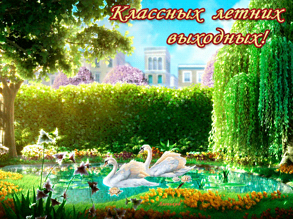Открытка Хорошего лета - Открытка с лебедями и прудом | Красивая открытка #14