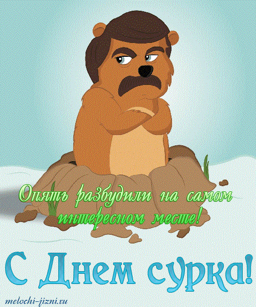 Открытка Открытки с днем сурка - С Днем сурка! Открытка с сурком на снегу | Красивая открытка #35