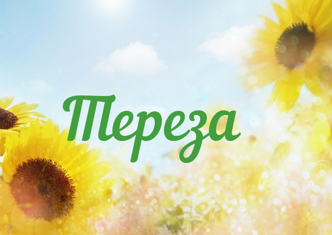 Открытка открытки с именем Тереза - Открытка с подсолнухами на фоне голубого неба | Красивая открытка #7