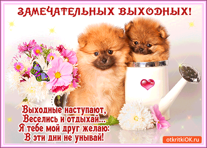Открытка Открытки хороших выходных - Открытка с щенками и цветами: Приятных выходных! | Красивая открытка #265