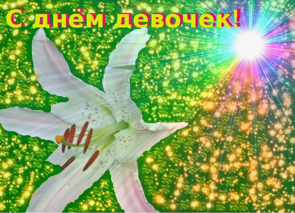 Открытка Открытки на Международный день девочек - Белые лилии на праздничной открытке | Красивая открытка #24