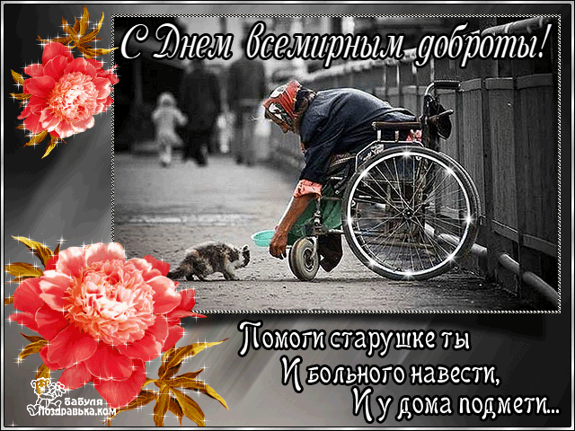 Открытка День доброты - Пожилой мужчина на коляске и кошка. Черно-белая открытка. | Красивая открытка #31