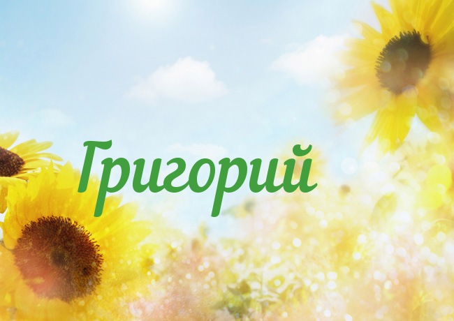 Открытка открытки с именем Григорий - Открытка с подсолнухами на фоне голубого неба | Красивая открытка #14