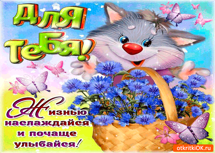 Открытка Улыбнись - Открытка с котиком, цветы и бабочки | Красивая открытка #86