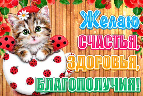 Открытка С пожеланиями благополучия - Открытка с котенком: поздравления, радость, здоровье | Красивая открытка #5