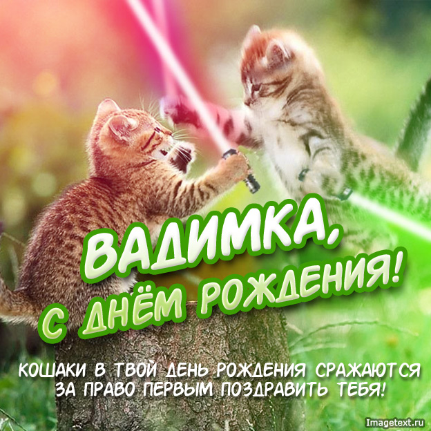 Открытка открытки с именем Вадим - Открытка с котятами: С Днём Рождения! | Красивая открытка #25