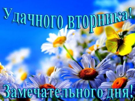 Открытка Вторник - Открытка с ромашками и бабочкой | Красивая открытка #11