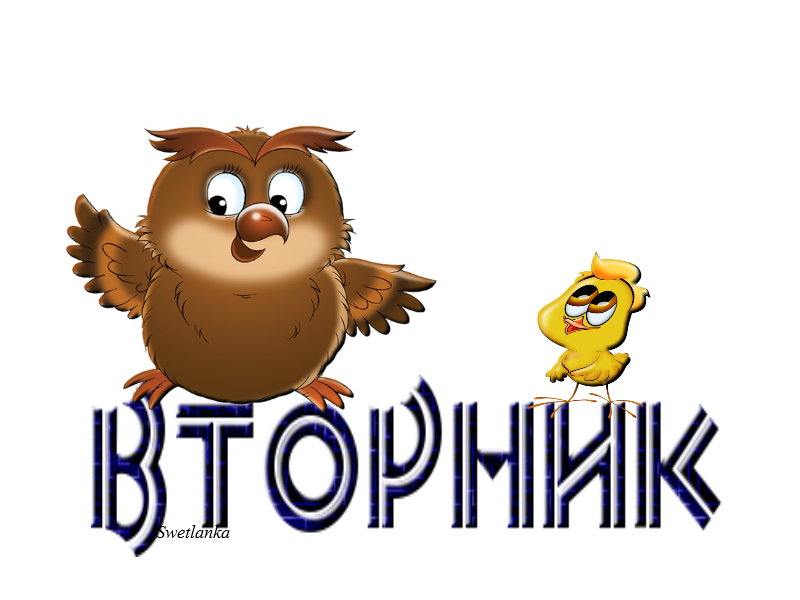 Открытка открытки с пожеланиями хорошей среды - Открытка с совой и цыплёнком | Красивая открытка #22