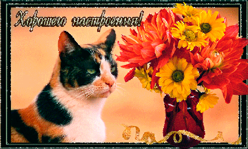 Открытка Для хорошего настроения - Открытка с котиком и цветами: ваза, розы, желтые цветы | Красивая открытка #22