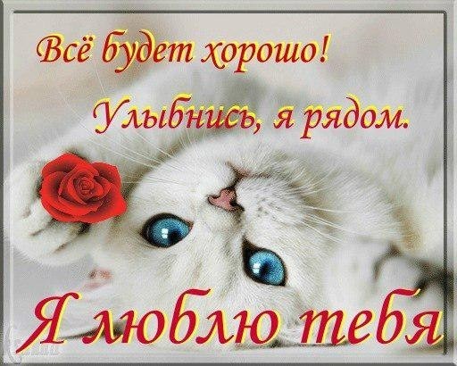 Открытка Открытки я рядом - Открытка с милым котенком и розой | Красивая открытка #35