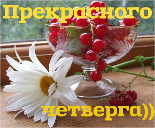 Открытка открытки с пожеланиями хорошего четверга  - Открытка с цветами и красной смородиной | Красивая открытка #3
