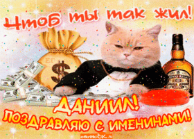 Открытка Открытки с именем Даниил/Данил - Открытка с котом и деньгами: поздравления с праздником | Красивая открытка #106