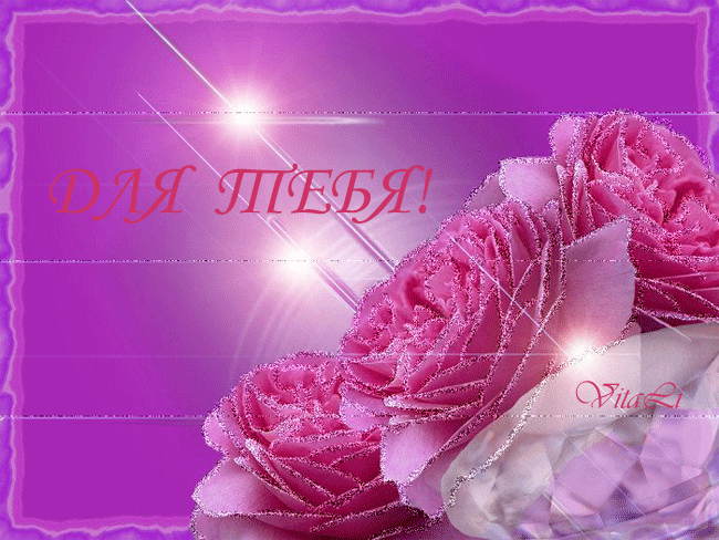 Открытка Для тебя - Розовые розы на фиолетовом фоне | Красивая открытка #239